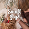 Small Joys