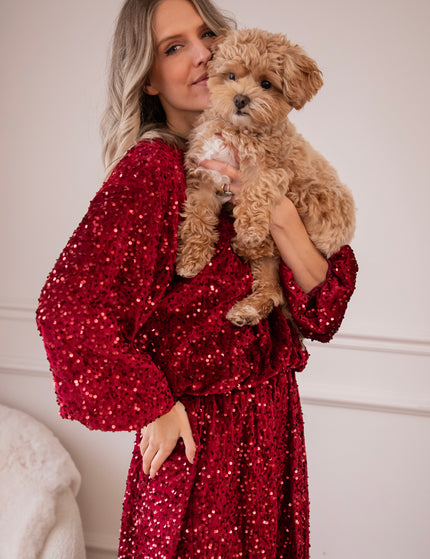 Shimmer Dreams Bordeaux - Rok