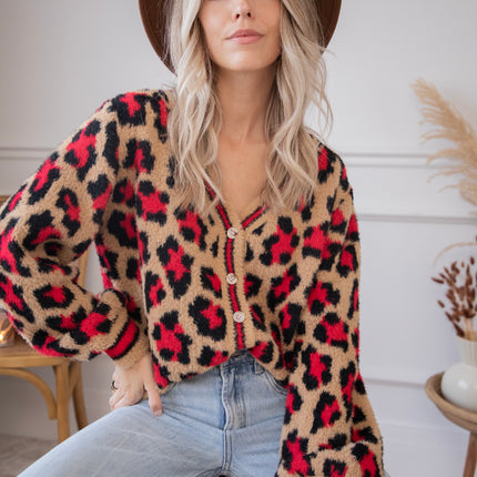 Collection image for: INTERN BF FW24 FLASH 2
