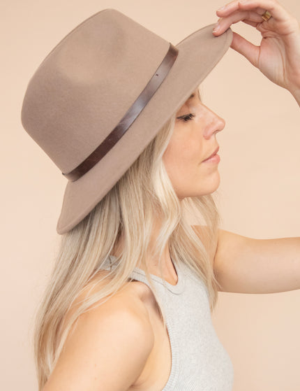 Heads Up Taupe - Hat