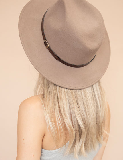 Heads Up Taupe - Hat