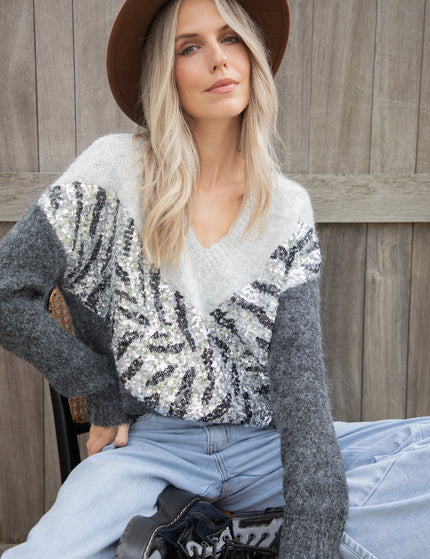 Zabrina Sequins Grey - Trui