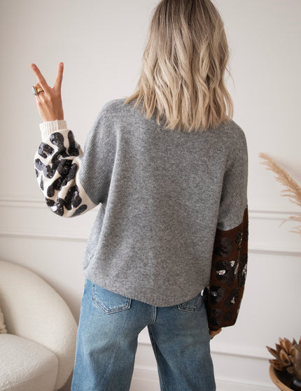 Cozy Cleo Grey - Sweater