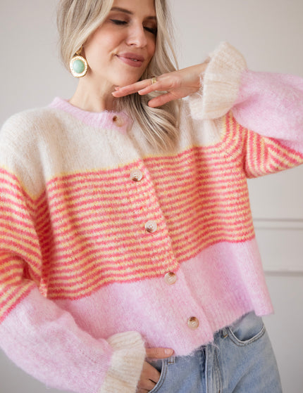 Sweet Rainbow Pink - Vest