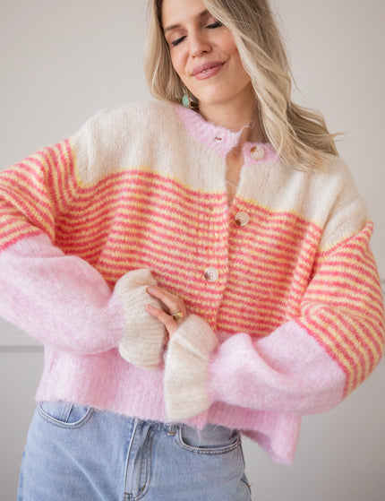 Sweet Rainbow Pink - Vest