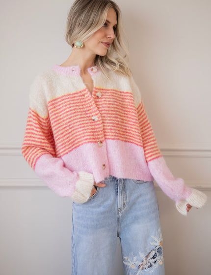 Sweet Rainbow Pink - Vest