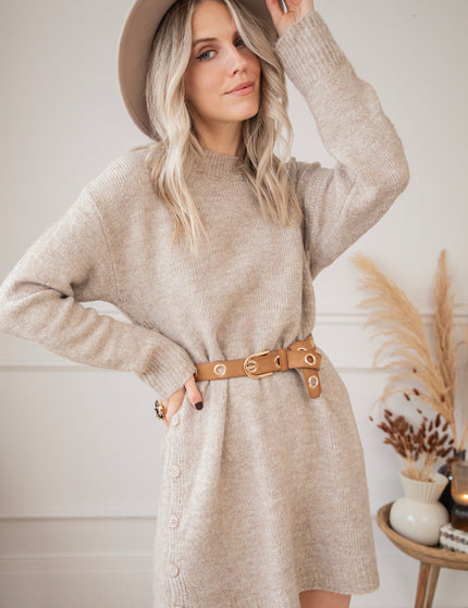 Coziya Café Au Lait - Sweater Dress