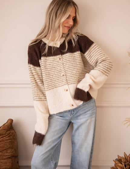 Sweet Rainbow Brown/Beige - Vest