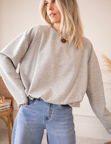 Soft Stretch Grey - Sweater
