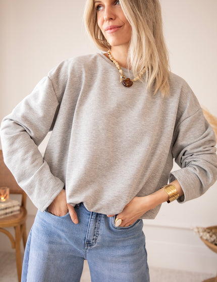 Soft Stretch Grey - Sweater