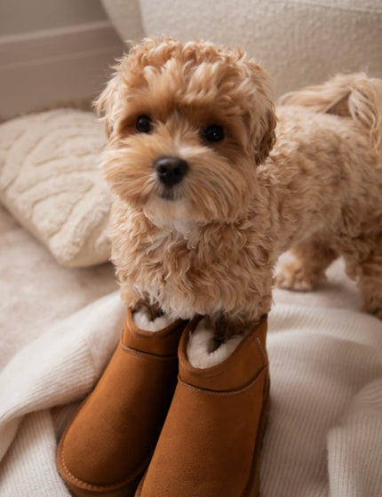 Go Slow Platform Camel - Boots