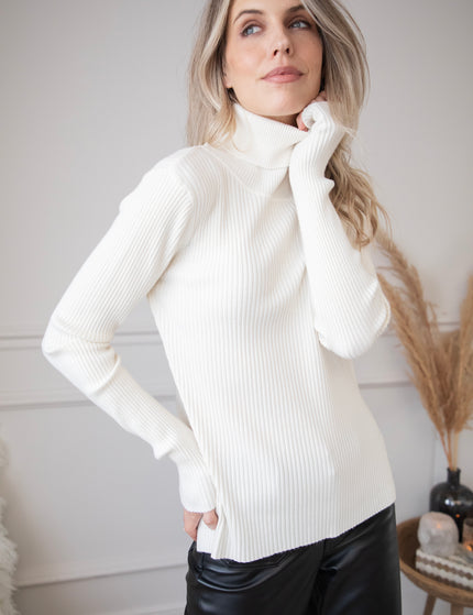 Maxime Turtle Neck Beige - Sweater