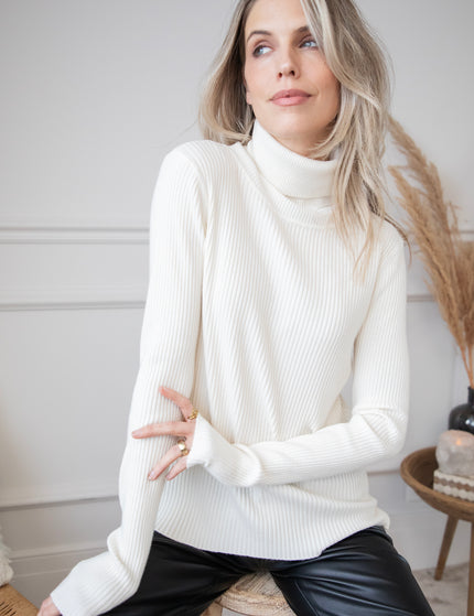 Maxime Turtle Neck Beige - Sweater