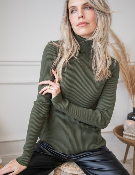 Maxime Turtle Neck Kaki - Sweater