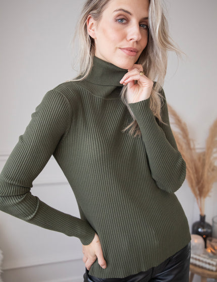 Maxime Turtle Neck Kaki - Sweater