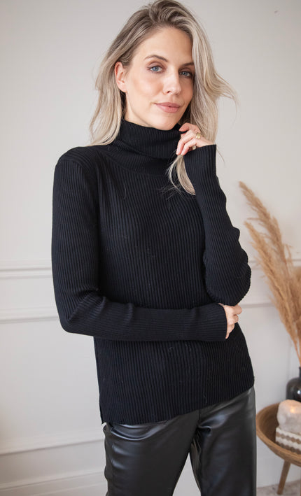 Maxime Turtle Neck Black - Sweater