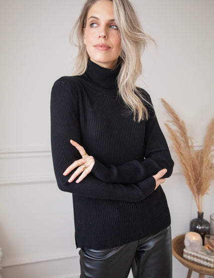 Maxime Turtle Neck Black - Sweater