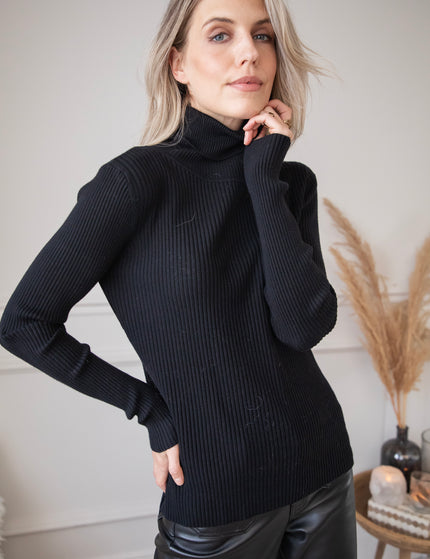 Maxime Turtle Neck Black - Sweater