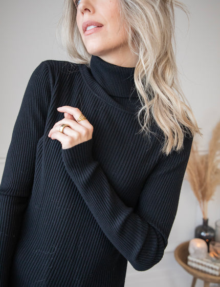 Maxime Turtle Neck Black - Sweater