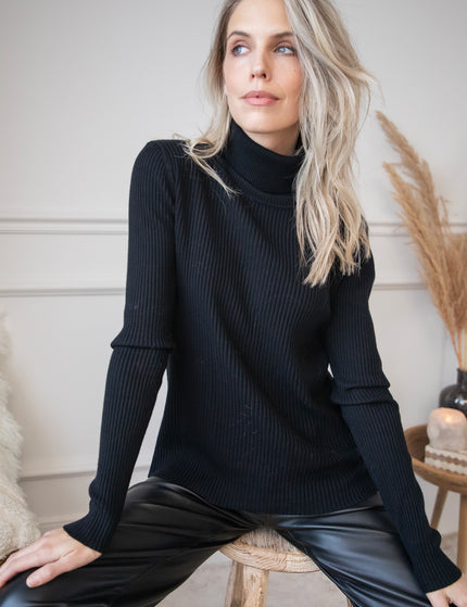 Maxime Turtle Neck Black - Sweater