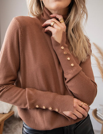 Get Your Basic Turtle Caramel - Sweater