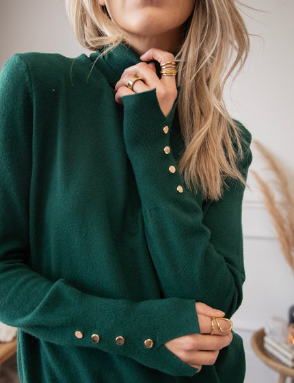 Get Your Basic Turtle Dark Green - Sweater