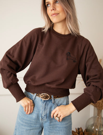 Paws & Cuddles Choco - Sweater