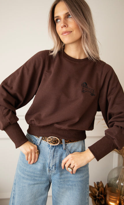 Paws & Cuddles Choco - Sweater