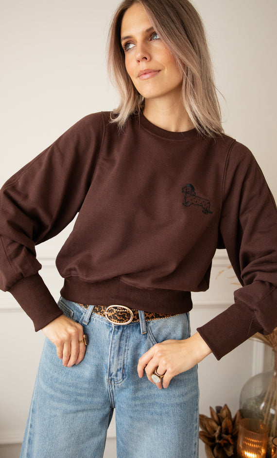 Paws & Cuddles Choco - Sweater