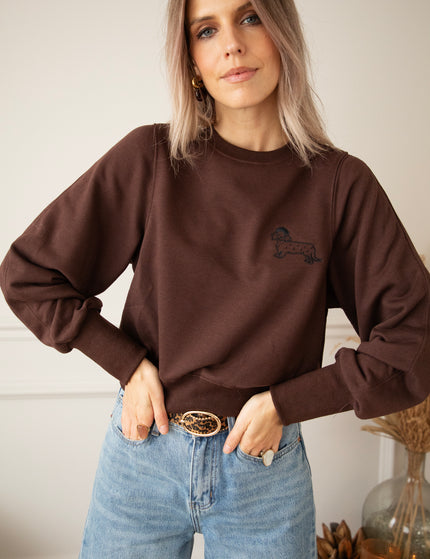 Paws & Cuddles Choco - Sweater