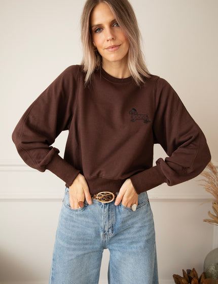 Paws & Cuddles Choco - Sweater