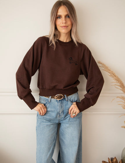 Paws & Cuddles Choco - Sweater