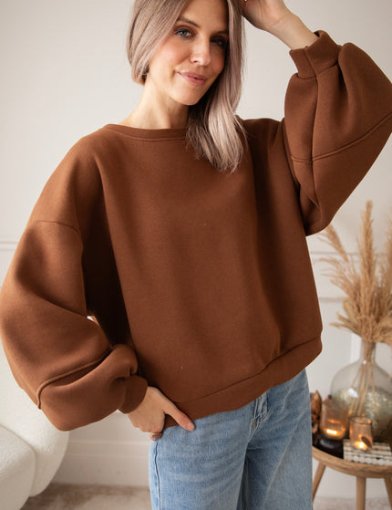 Snuggle Up Brown - Sweater