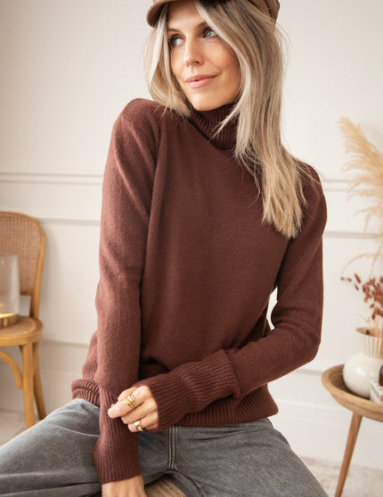 Comfy Billie Turtle Brown - Sweater