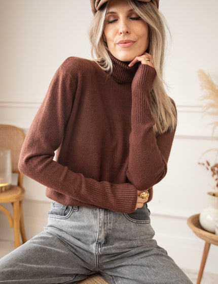 Comfy Billie Turtle Brown - Sweater