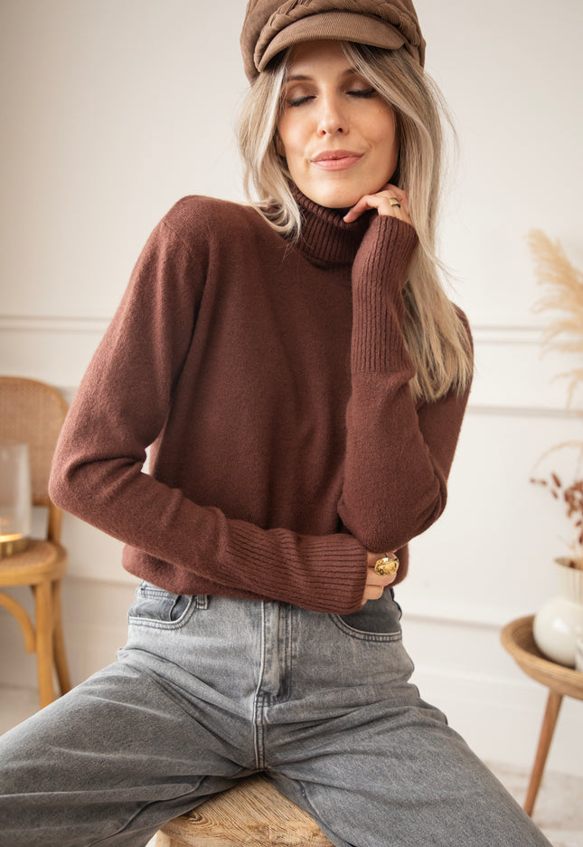 Comfy Billie Turtle Brown - Sweater