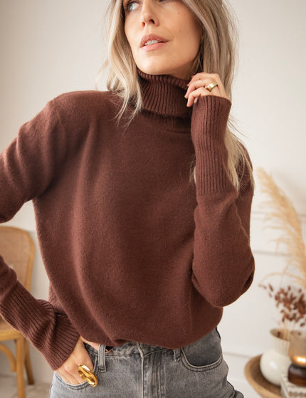 Comfy Billie Turtle Brown - Sweater