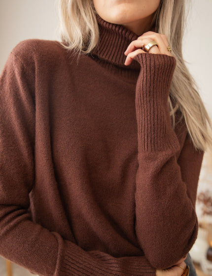 Comfy Billie Turtle Brown - Sweater