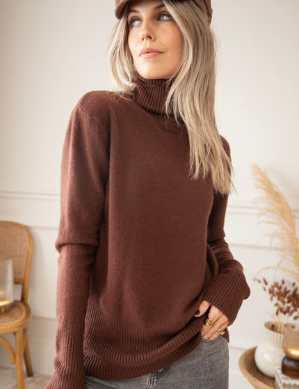 Comfy Billie Turtle Brown - Sweater