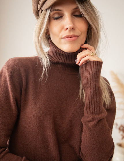 Comfy Billie Turtle Brown - Sweater