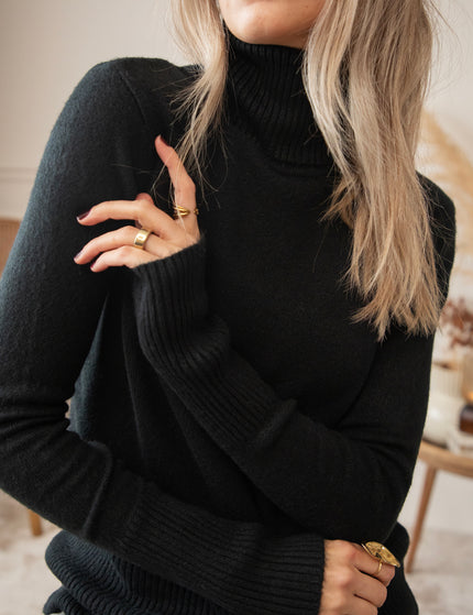 Comfy Billie Turtle Black - Sweater