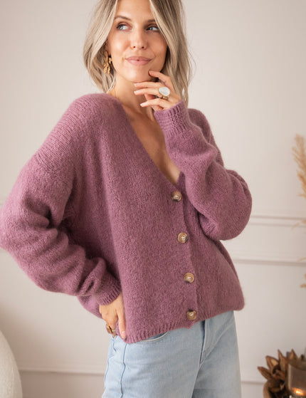 The Cozy Knit Mauve - Vest