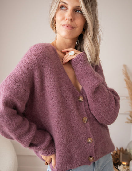 The Cozy Knit Mauve - Vest
