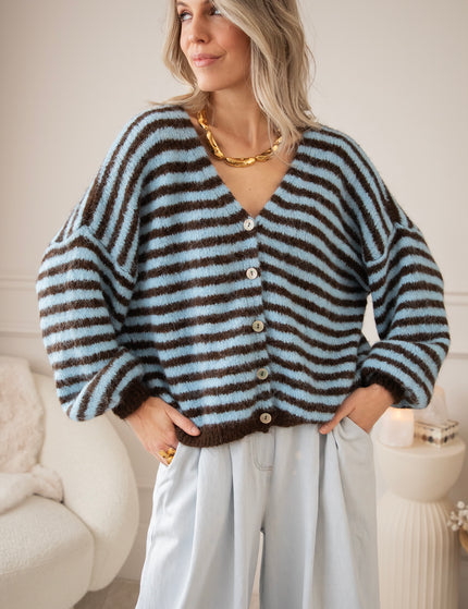 Zima Stripe Baby Blue/Choco - Vest