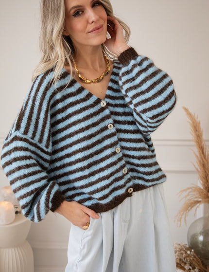 Zima Stripe Baby Blue/Choco - Vest