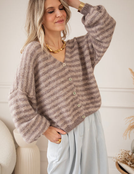 Zima Stripe Beige/Brown - Vest