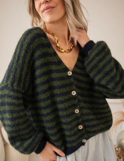 Zima Stripe Green/Dark Blue - Vest