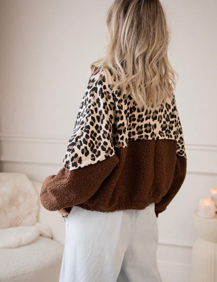 Wild Teddy Choco - Jacket