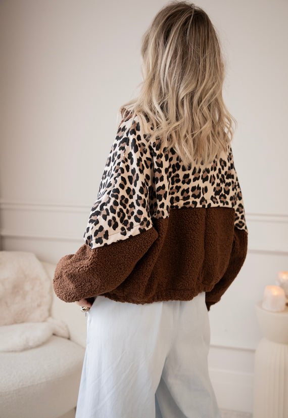 Wild Teddy Choco - Jacket