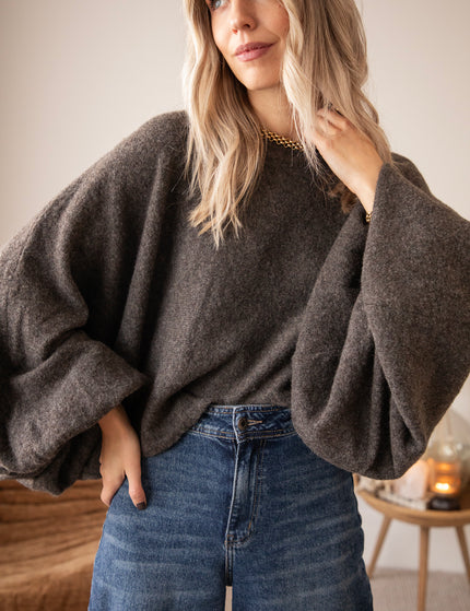 Cozy Wing Knit Dark Grey - Sweater